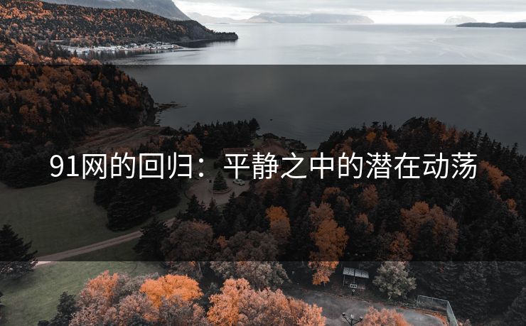 91网的回归：平静之中的潜在动荡