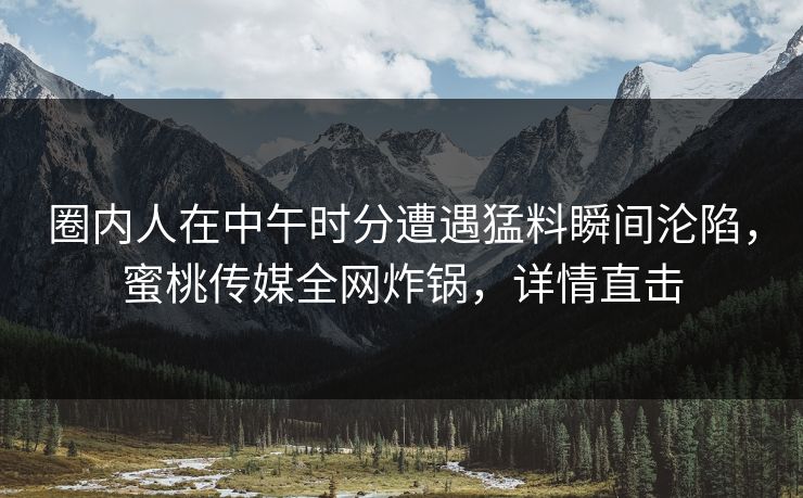 圈内人在中午时分遭遇猛料瞬间沦陷，蜜桃传媒全网炸锅，详情直击