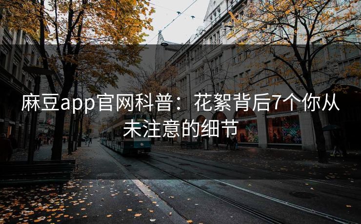 麻豆app官网科普：花絮背后7个你从未注意的细节