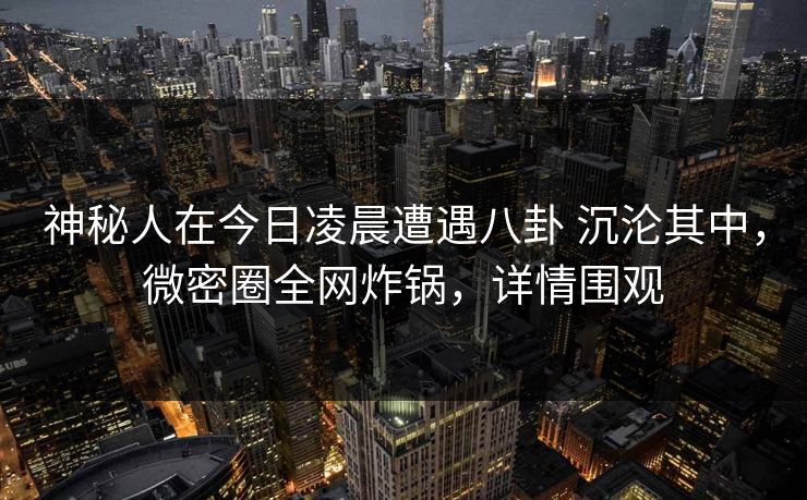 神秘人在今日凌晨遭遇八卦 沉沦其中，微密圈全网炸锅，详情围观